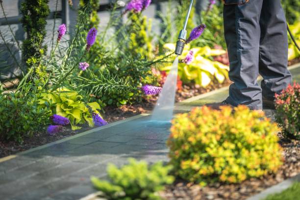 Best Fence Cleaning  in Point Pleasant Beach, NJ